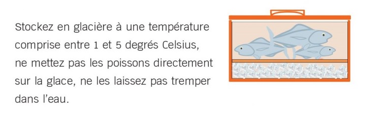 Schéma de la glacière idéale, disposant d'un séparateur entre les poisson et la glace, ayant pour but d'éviter aux poissons la brûlure du froid, et aussi éviter qu'ils ne trempe dans l'eau ...